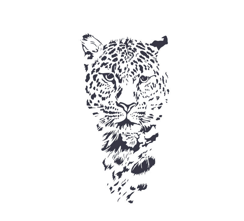 hunting leopard